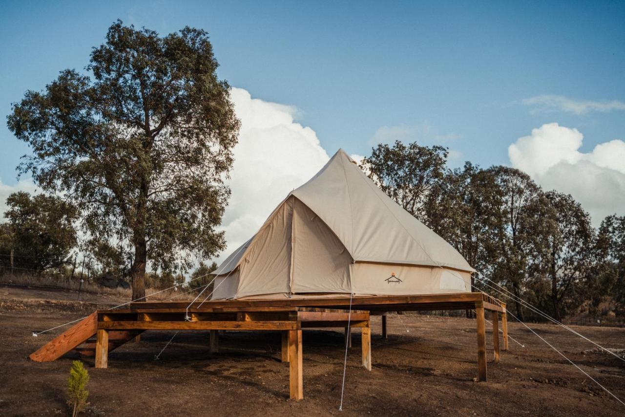 Lago Valle Wine Glamping Guadalupe Eksteriør billede