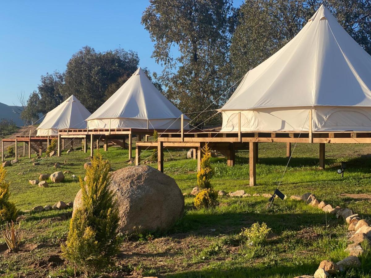 Lago Valle Wine Glamping Guadalupe Eksteriør billede