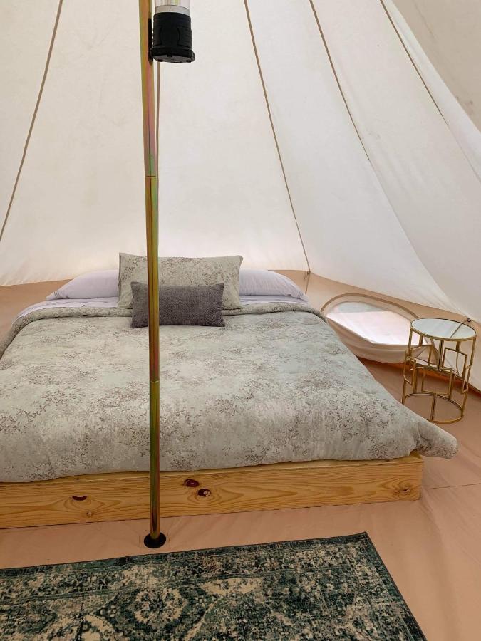 Lago Valle Wine Glamping Guadalupe Eksteriør billede