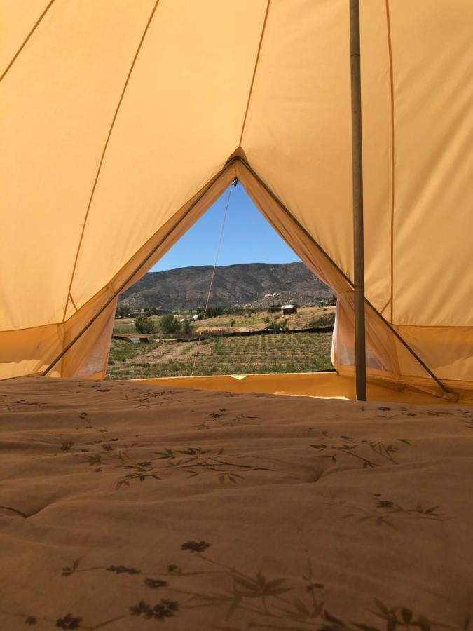 Lago Valle Wine Glamping Guadalupe Eksteriør billede