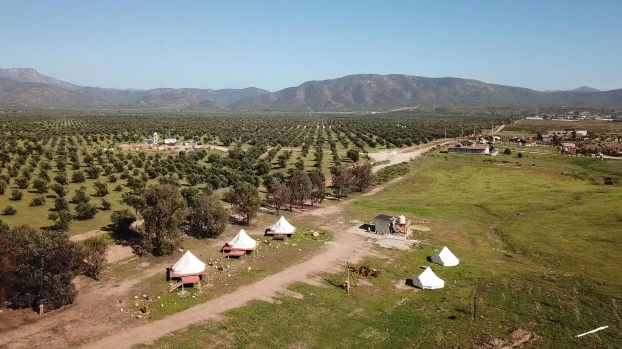 Lago Valle Wine Glamping Guadalupe Eksteriør billede