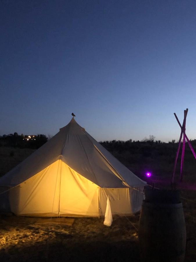 Lago Valle Wine Glamping Guadalupe Eksteriør billede