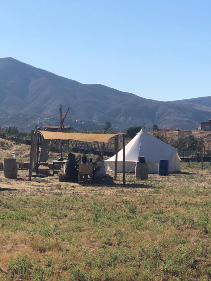 Lago Valle Wine Glamping Guadalupe Eksteriør billede