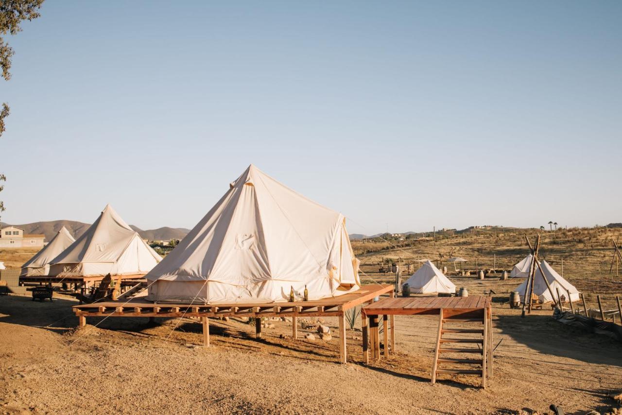 Lago Valle Wine Glamping Guadalupe Eksteriør billede