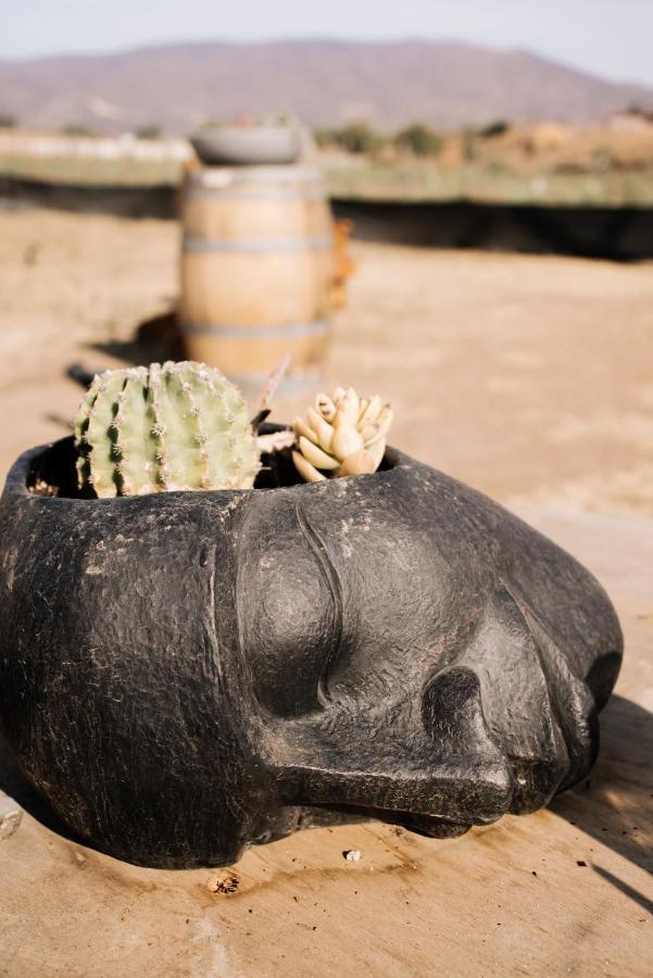 Lago Valle Wine Glamping Guadalupe Eksteriør billede