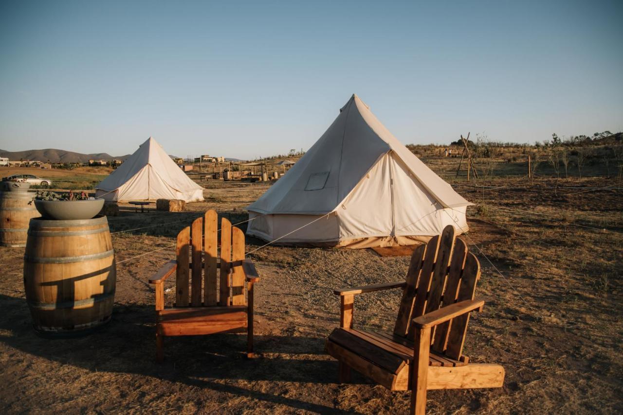 Lago Valle Wine Glamping Guadalupe Eksteriør billede