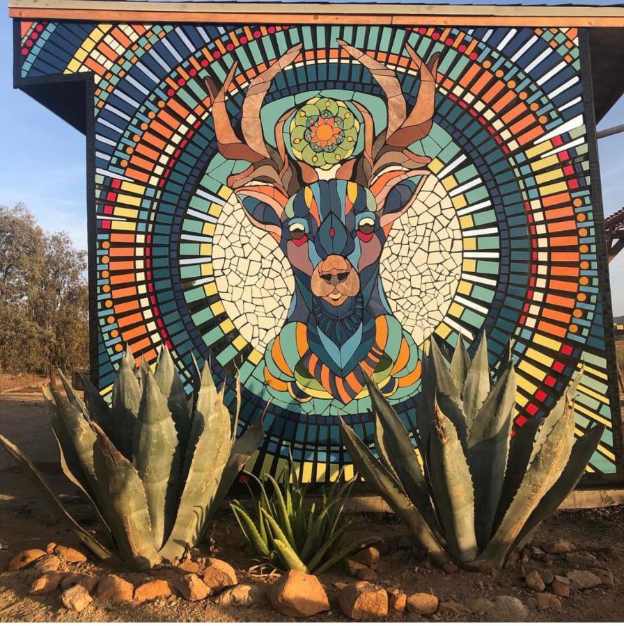 Lago Valle Wine Glamping Guadalupe Eksteriør billede