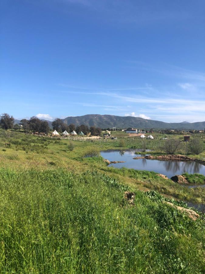 Lago Valle Wine Glamping Guadalupe Eksteriør billede