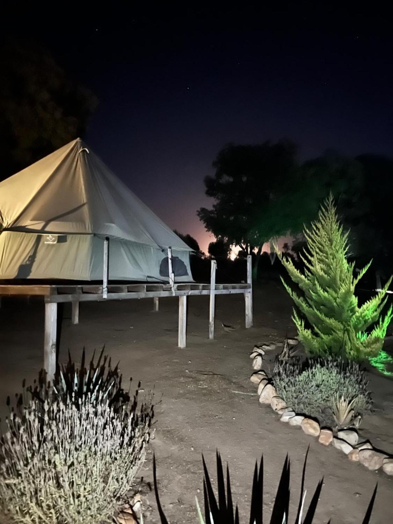 Lago Valle Wine Glamping Guadalupe Eksteriør billede
